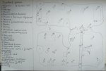 IMG-20190408-WA0005.jpg