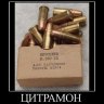 Ксей Белл